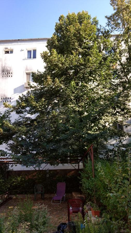 Casa Cu Tei Apartment คลูจ-นาโปกา ภายนอก รูปภาพ