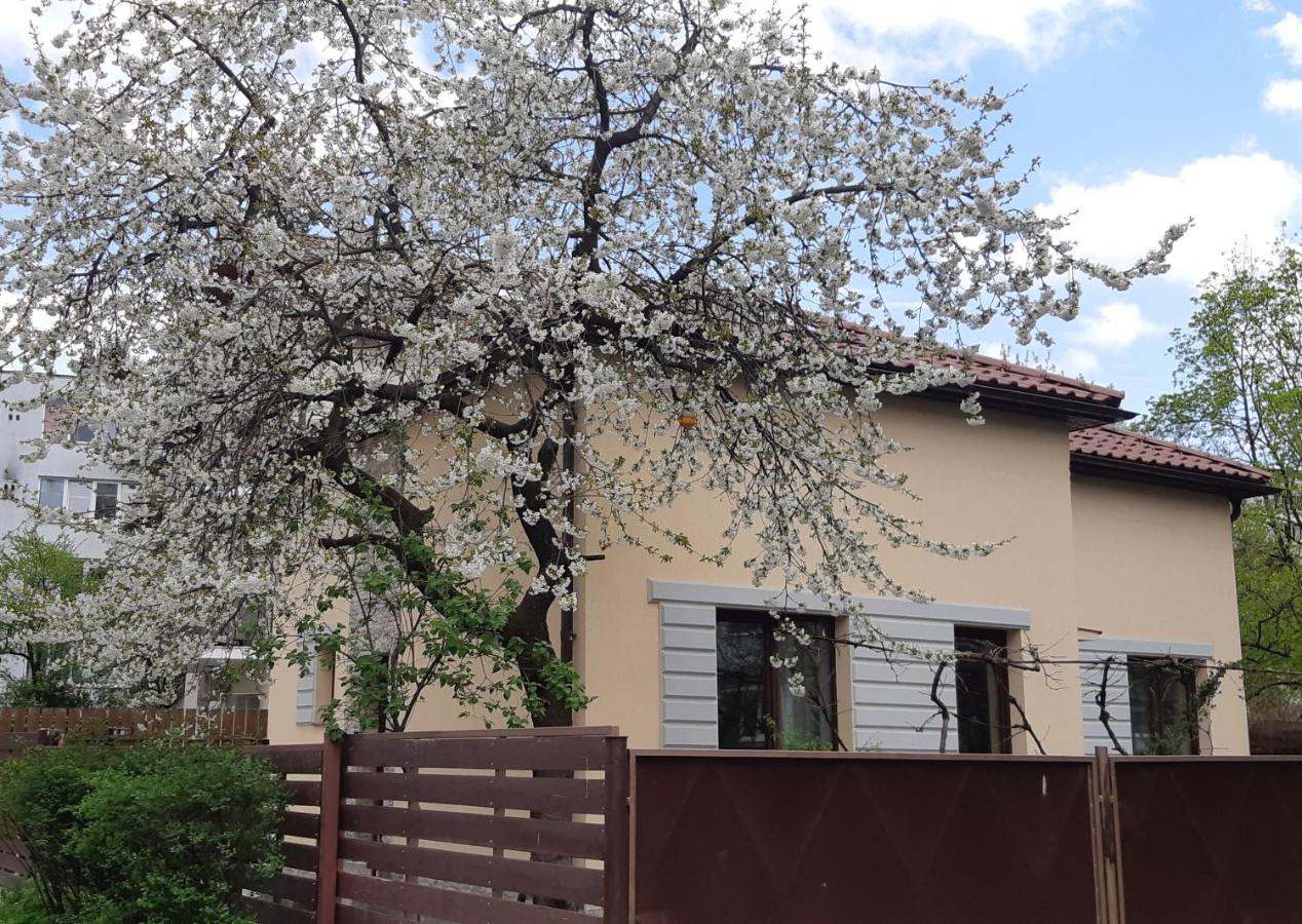 Casa Cu Tei Apartment คลูจ-นาโปกา ภายนอก รูปภาพ